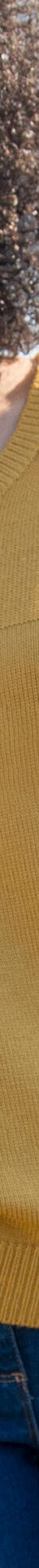 Pull manches longues uni (curry) Pull manches longues uni (curry)